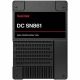 SANDISK SanDisk DC SN861 NVMe SSD