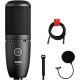 Harman AKG Studio Condenser Microphne