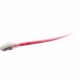 C2G QS 3FT 0.9M RED BOOTED C6A STP