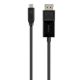 Belkin 6ft USB C to DP CABLE
