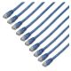 Startech.com 1 ft. CAT6 Cable Pack Blue