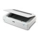 Epson Expression 1300XL Scanner