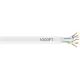 Black C6 550 UTP PVC WH 1000' PB