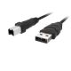 Belkin USB A/B Device Cable DTSP