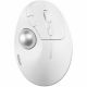 Kensington PROFIT ERGO TB450 EQ WHT R