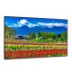 Sharp NEC MultiSync M751 AVT3