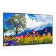 Sharp MultiSync M981