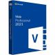Microsoft Visio Pro 2021