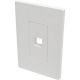 Eaton 1 Port Wall Plate Keystone
