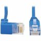 Eaton Cat6 Ethernet Cable Down Right