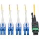 Eaton MTP/MPO (APC) to 8xLC SMF Fibe