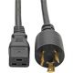 Eaton 10ft AC Power Cord, C19/Lockin