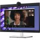 Dell 24