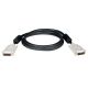 Eaton 10' DVI Dual Link TDMS Cable