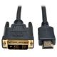 Eaton 3' HDMI to DVI Cbl