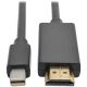 Eaton 3ft Mini DP to HDMI Cable M M