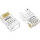 Axiom RJ45 CAT6 UTP Plug