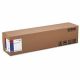 Epson ColdPress Bright 24