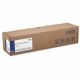 Epson STND PROOF PAPER 24x100' 1ROL