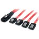 Startech.com SAS Cable SFF8087 to 4x SATA