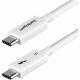Startech.com 1.5ft/50cm Thnderblt 5 Cbl WHT
