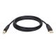 Eaton 6ft USB 2.0 Dvc Cbl