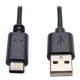Eaton USB Hi Speed Cable A Male 6'