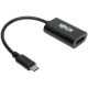 Eaton USB C to DP Video Adapter 6in
